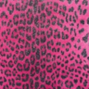 Meet your Posher, Lisette